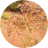 100% Cyperus Rotundus